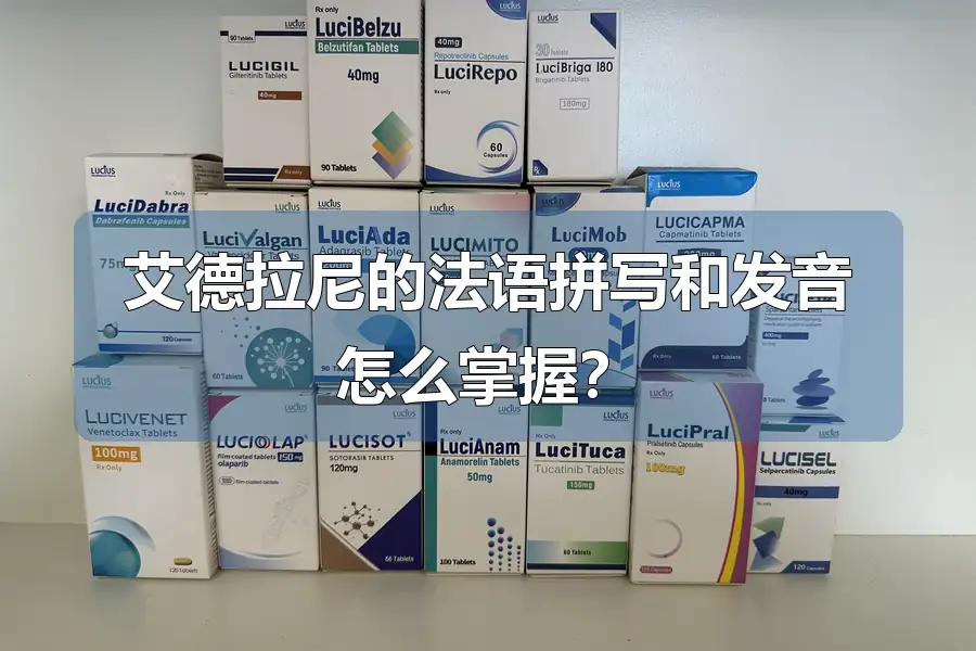 艾德拉尼的法语拼写和发音怎么掌握?